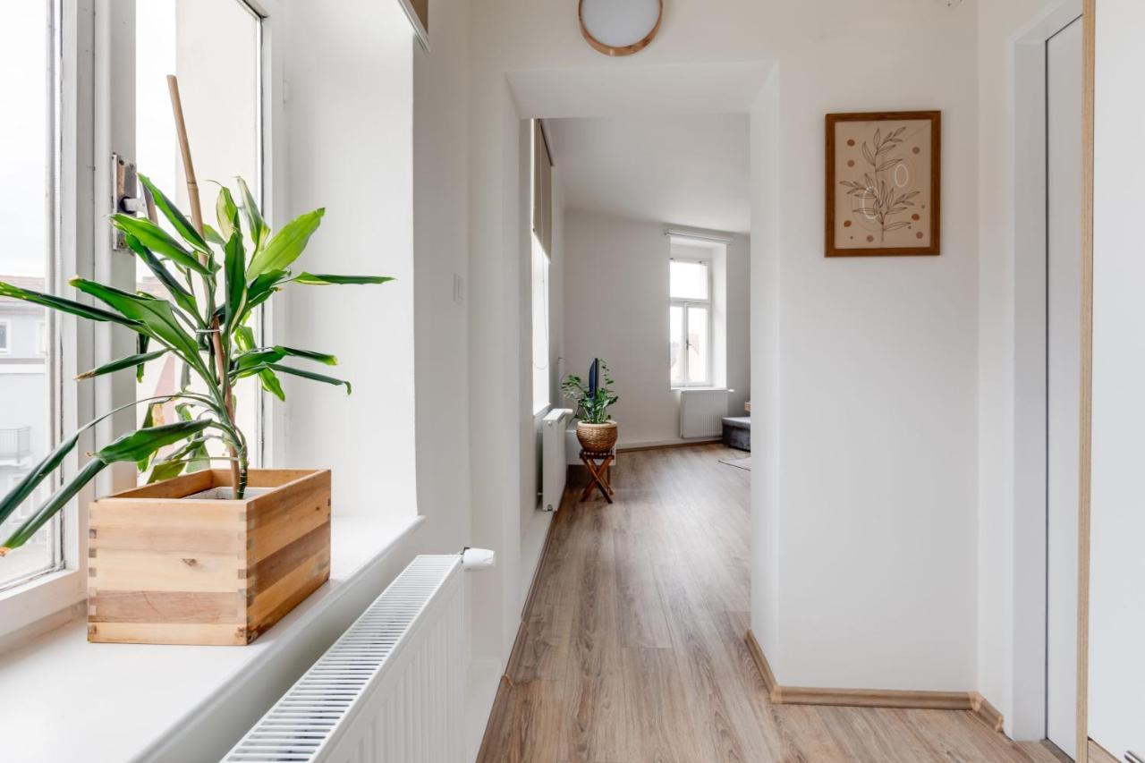 פראג Modern, Bright And Spacious Apartment מראה חיצוני תמונה