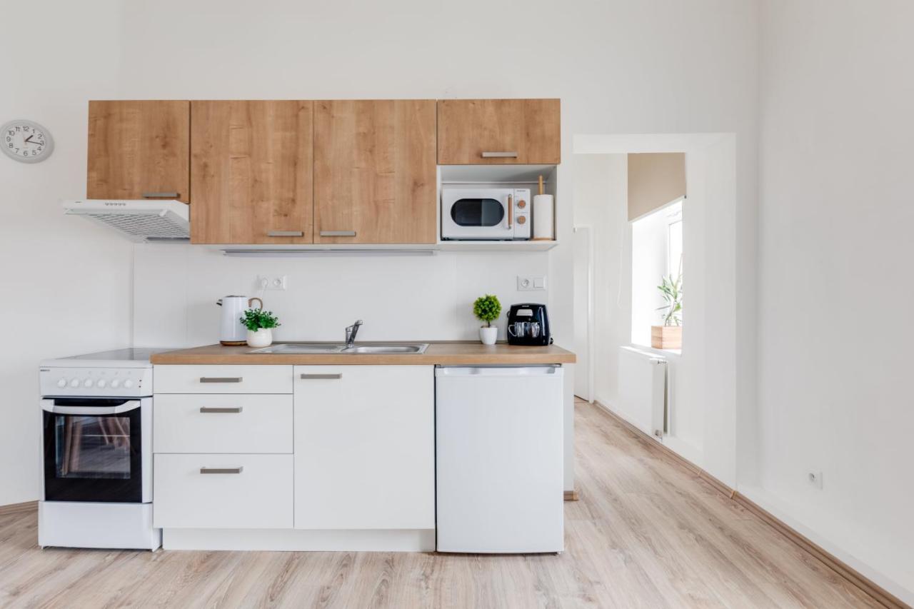 פראג Modern, Bright And Spacious Apartment מראה חיצוני תמונה